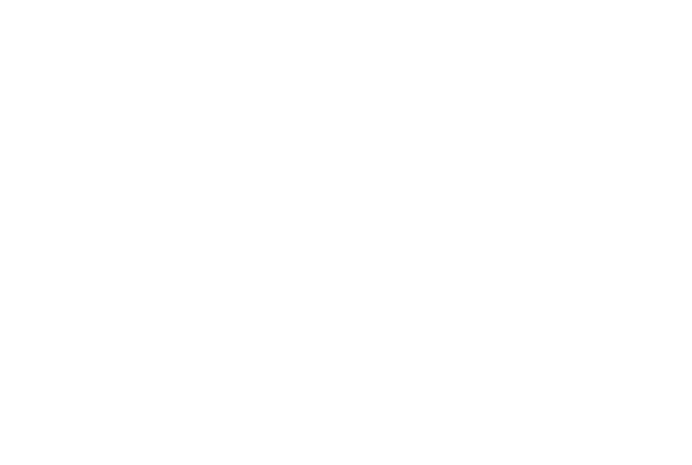 Palace Hotel Logo